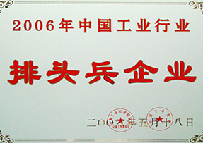 2006年荣获中国工业行业排头兵企业